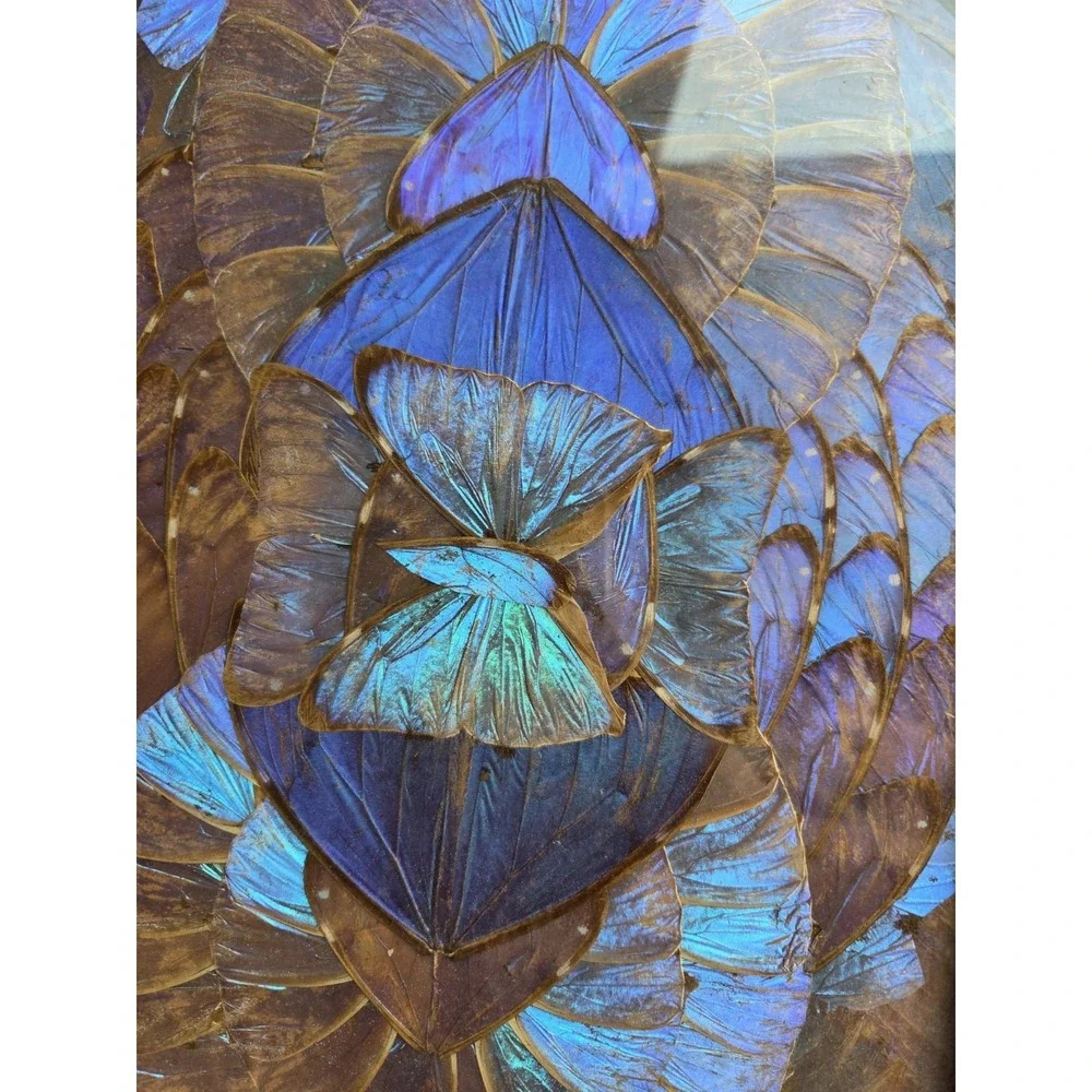 VTG MCM Brazilian Butterfly‎ Wing Inlaid Wood Serving Tray 16.5